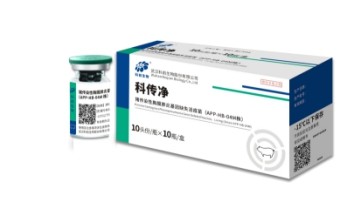 国产乱人偷精品人妻A片