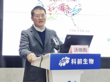 国产乱人偷精品人妻A片