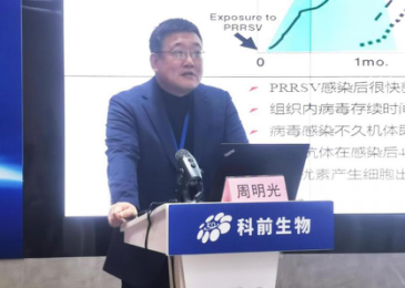 国产乱人偷精品人妻A片