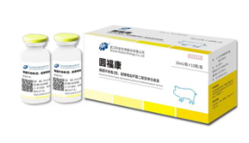 国产乱人偷精品人妻A片