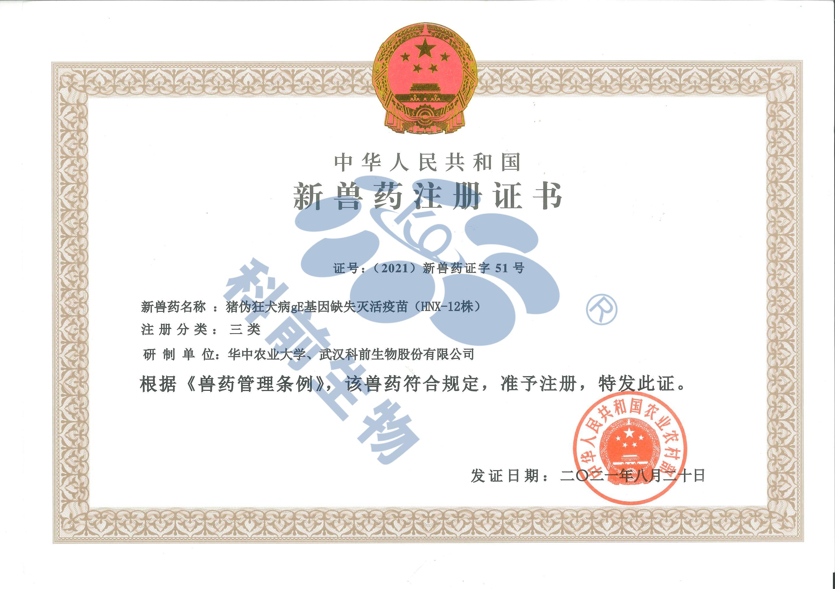 国产乱人偷精品人妻A片