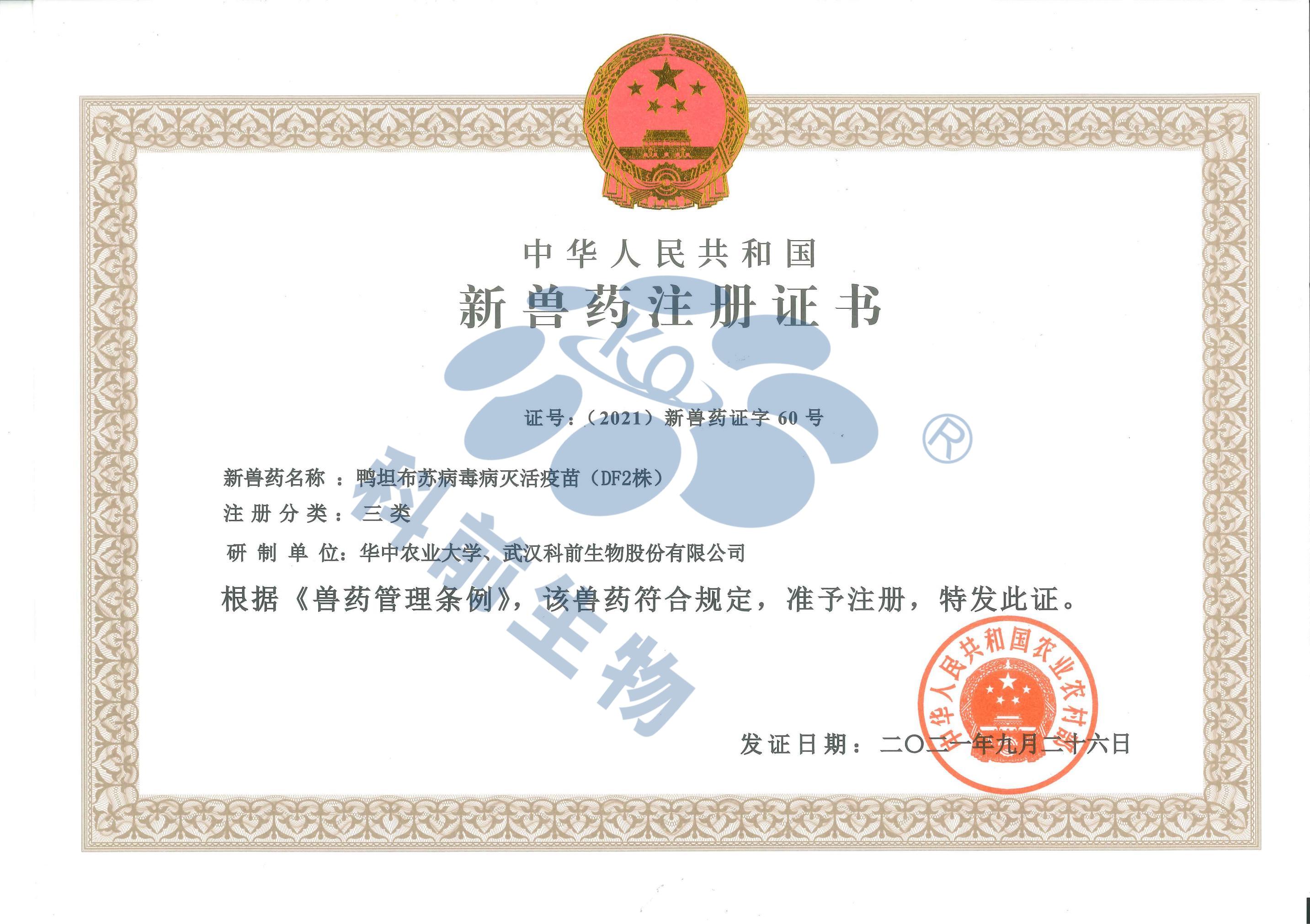 国产乱人偷精品人妻A片