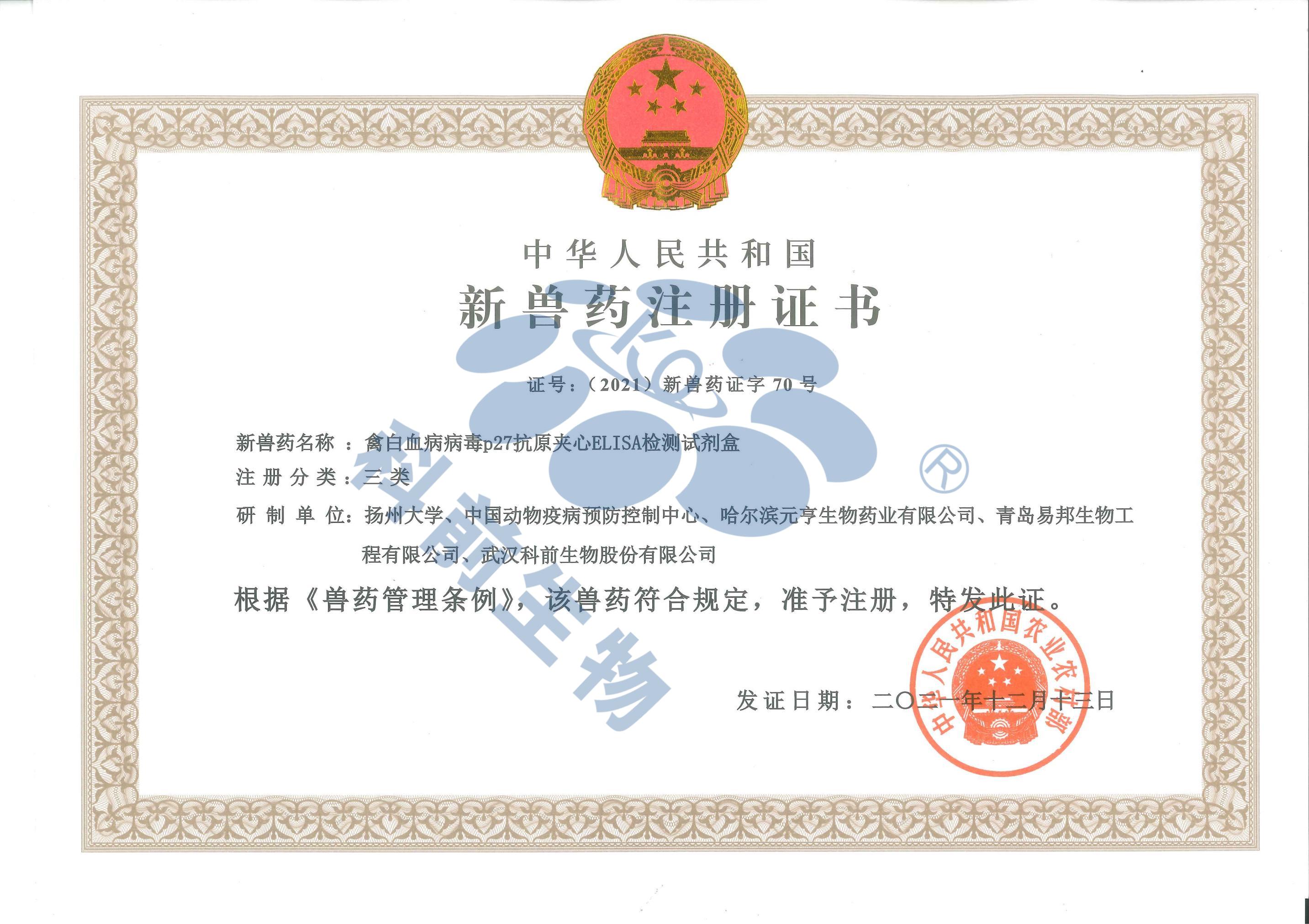 国产乱人偷精品人妻A片