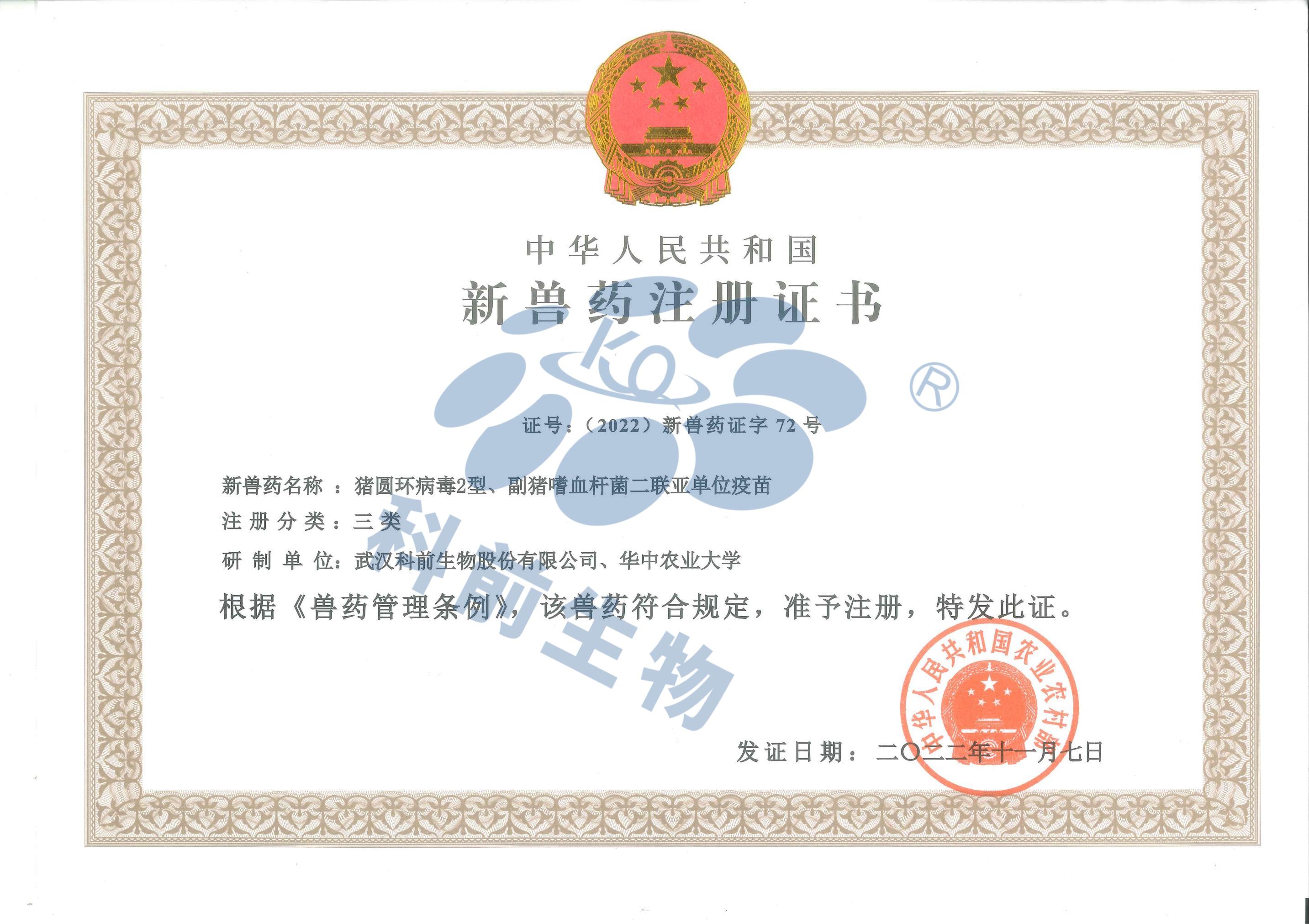 国产乱人偷精品人妻A片