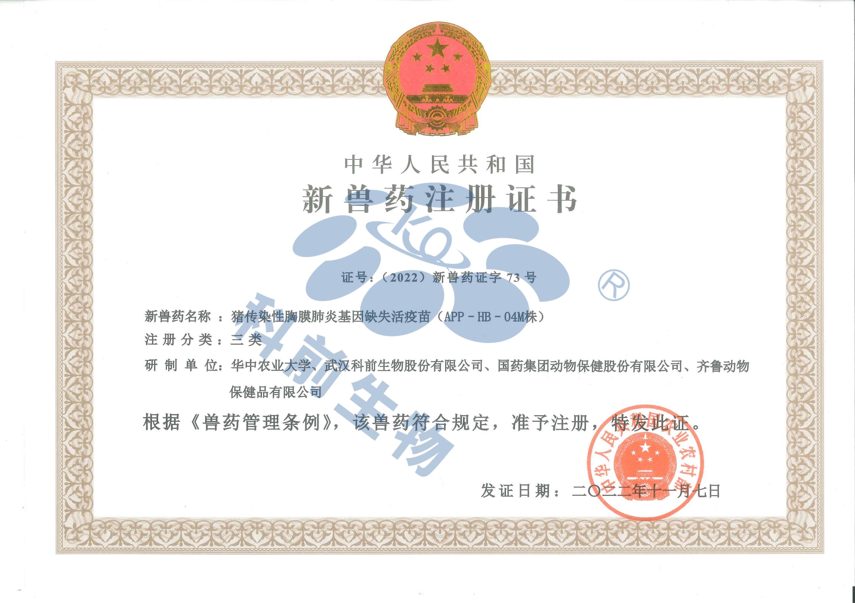 国产乱人偷精品人妻A片