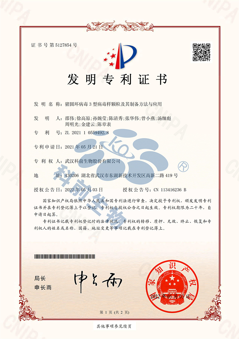 国产乱人偷精品人妻A片