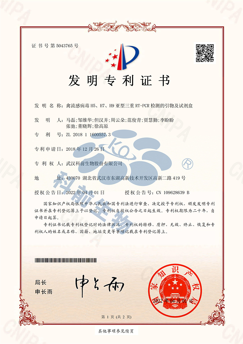 国产乱人偷精品人妻A片