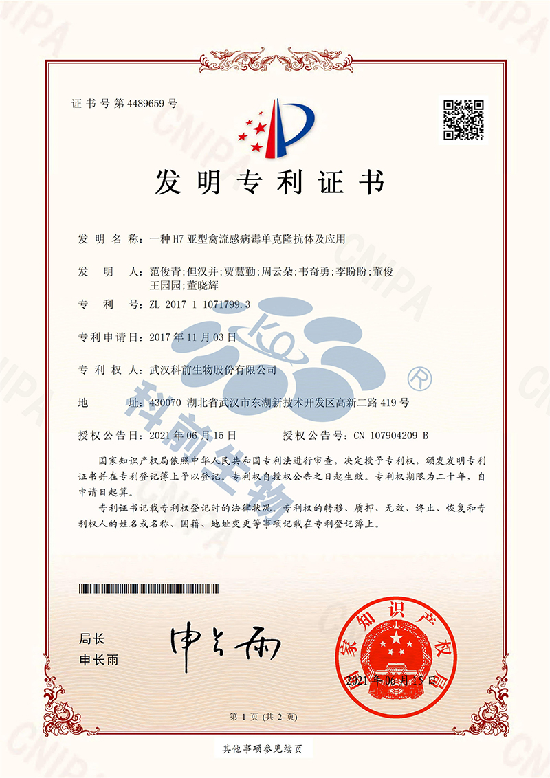 国产乱人偷精品人妻A片