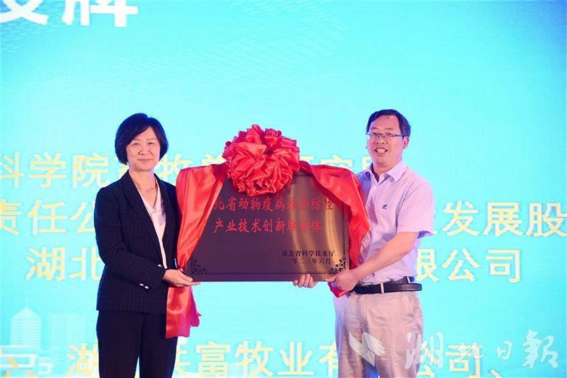 国产乱人偷精品人妻A片