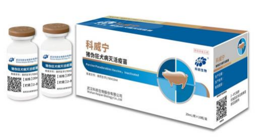 国产乱人偷精品人妻A片