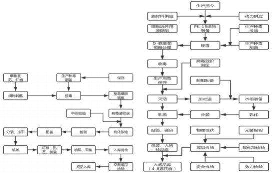 国产乱人偷精品人妻A片