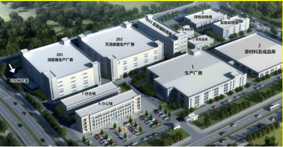 国产乱人偷精品人妻A片