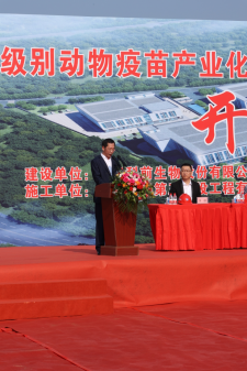 国产乱人偷精品人妻A片