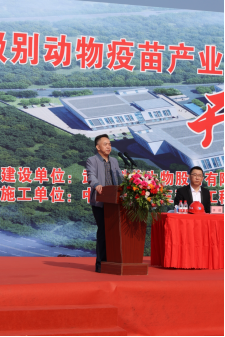 国产乱人偷精品人妻A片