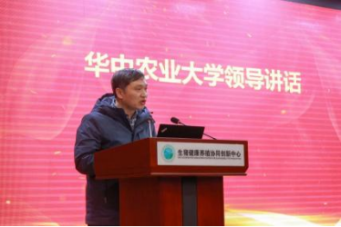 国产乱人偷精品人妻A片