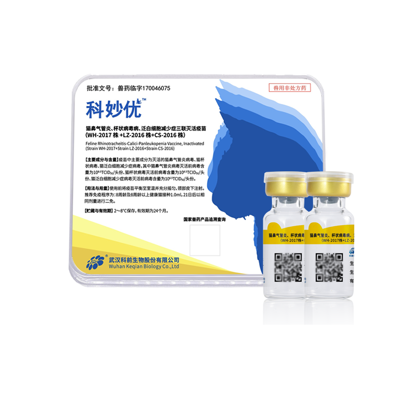 国产乱人偷精品人妻A片