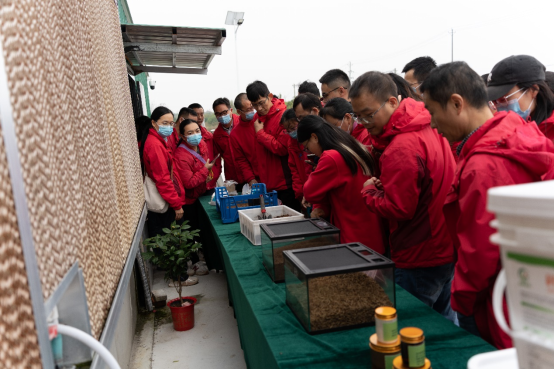 国产乱人偷精品人妻A片