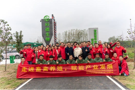 国产乱人偷精品人妻A片