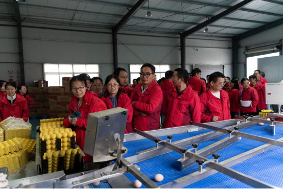 国产乱人偷精品人妻A片