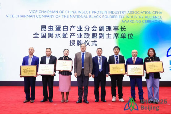 国产乱人偷精品人妻A片