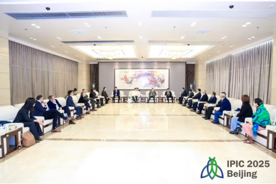 国产乱人偷精品人妻A片