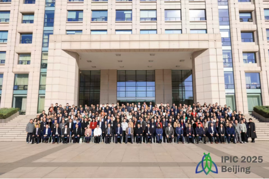 国产乱人偷精品人妻A片