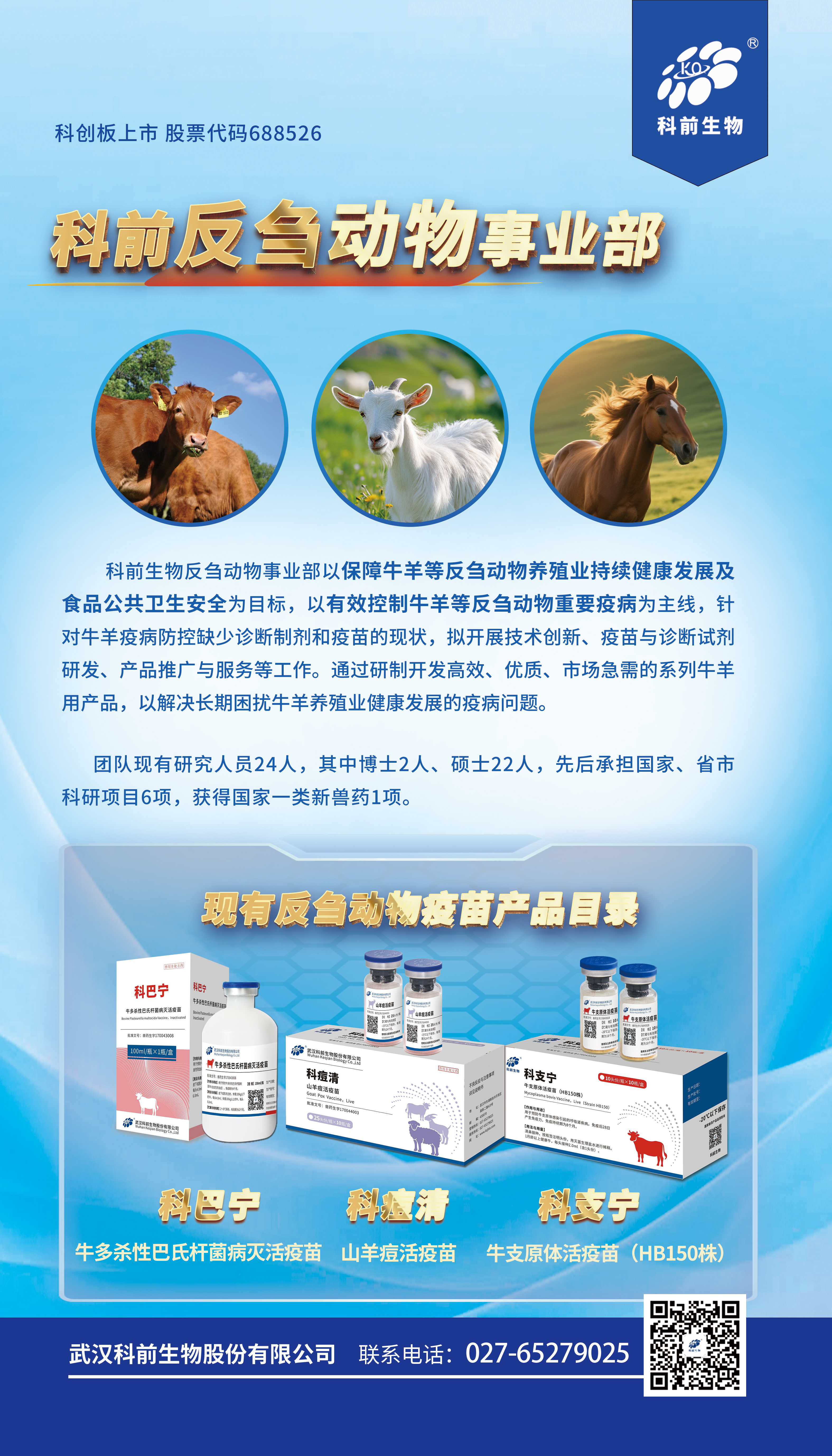 国产乱人偷精品人妻A片